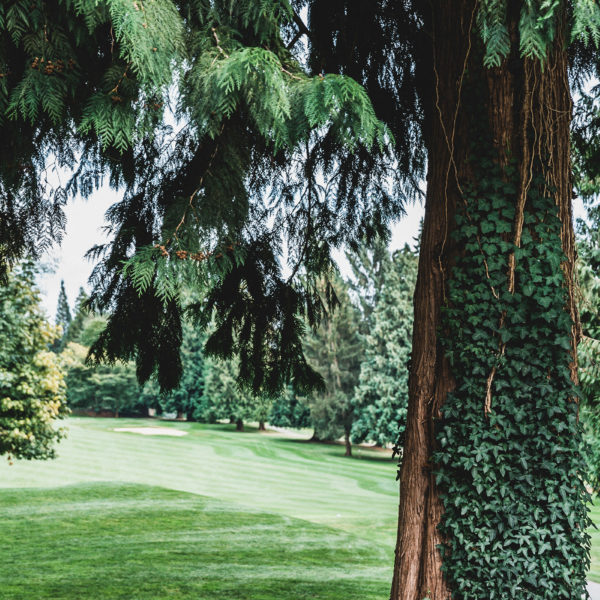 The lush landscape of the Vancouver Golf Club.