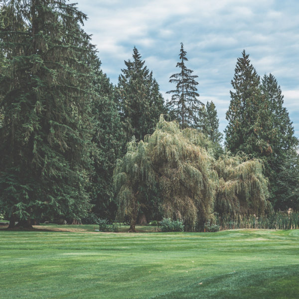 The neighboring Vancouver Golf Club scenery.